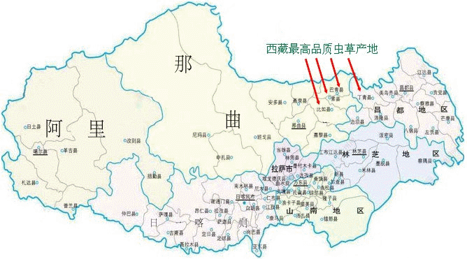 õĶxĲ,õĶxĲݵĮa(chn),Ʒ|(zh)ѶxĲݵĮa(chn),Ʒ|(zh)öxĲݵĮa(chn),ضxĲݵѮa(chn)